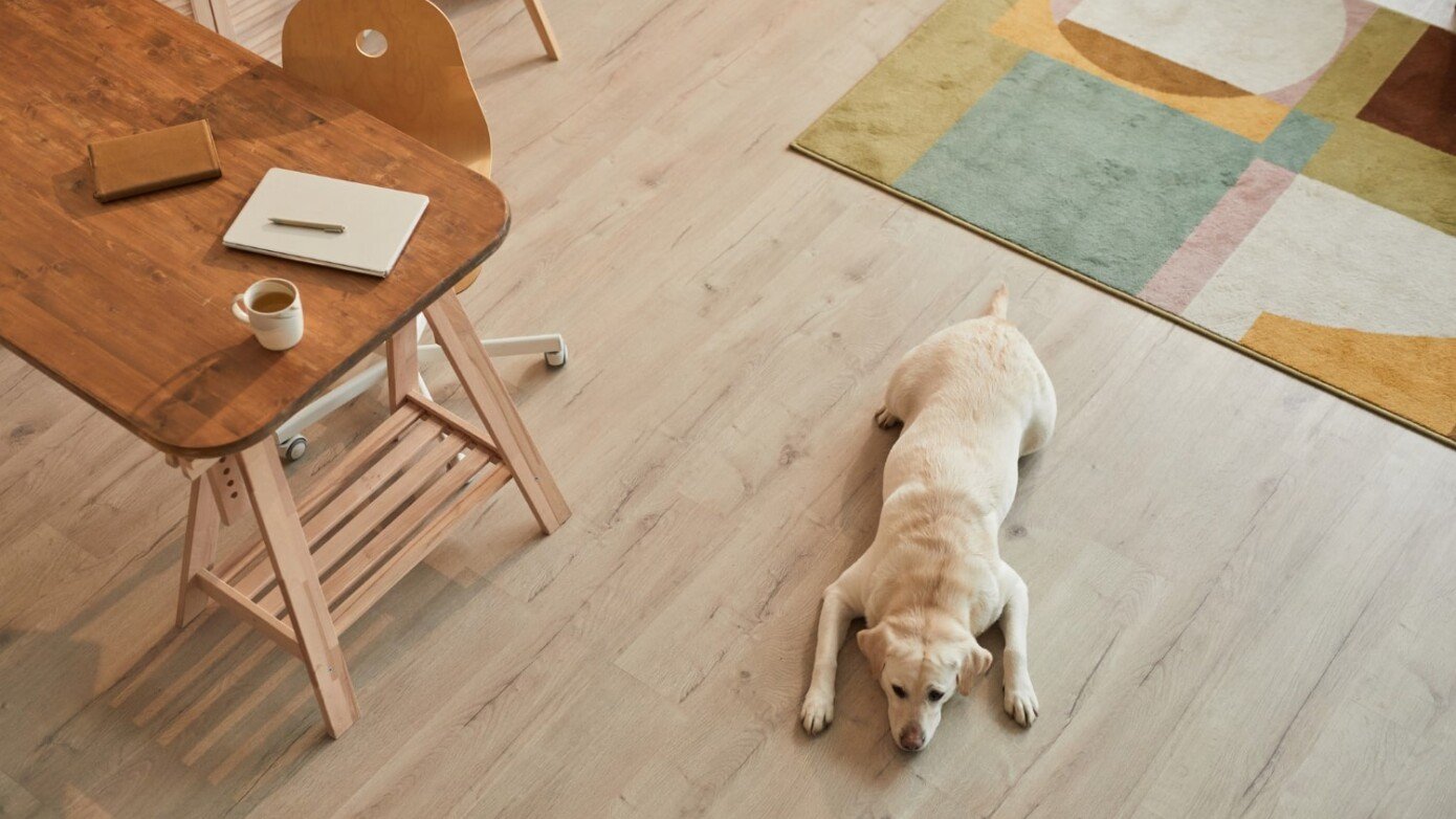 A Tips for Pet Owners Choosing the Best Flooring for Your Pets