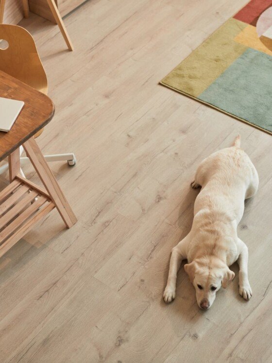 A Tips for Pet Owners Choosing the Best Flooring for Your Pets